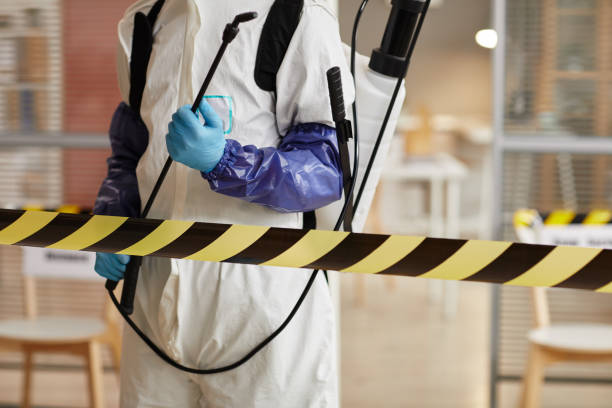 Professional Sewage Cleanup technician working in Paynesville, MN